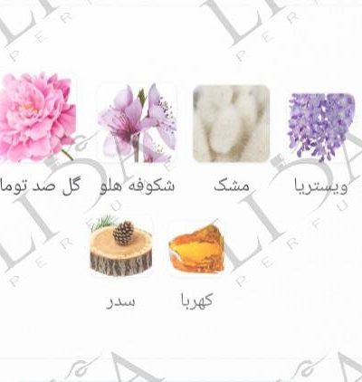نت بویایی اکلت لانوین