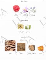 نت بویایی تام فورد توسکان لدر