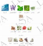 نت بویایی کول واتر آبی