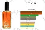 نت بویایی مگسی