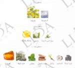 نت بویایی مگسی