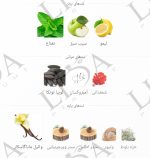 نت بویایی ورساچه اروس
