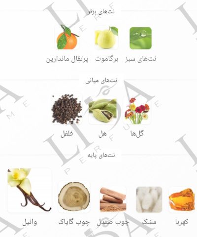 نت بویایی سک سی 212 مردانه
