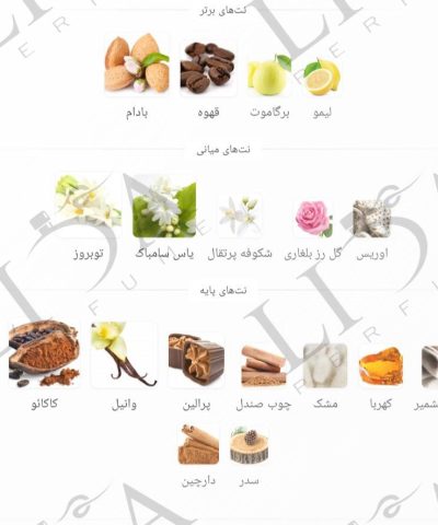 نت بویایی گودگرل