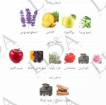 نت بویایی لجند مونت بلنک