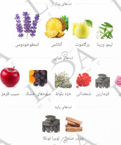 نت بویایی لجند مونت بلنک