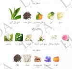عطر گرمی جنیفر استیل - تصویر 3
