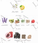 نت بویایی سیلور سنت بوگارت