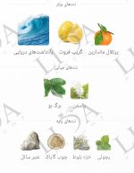 نت بویایی اینوکتوس پاکو رابان