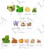 نت بویایی عطر گرمی مستر باربری