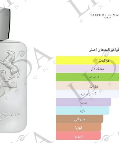 نت بویایی گالووی مارلی