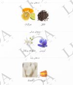 نت بویایی مارلی گالووی