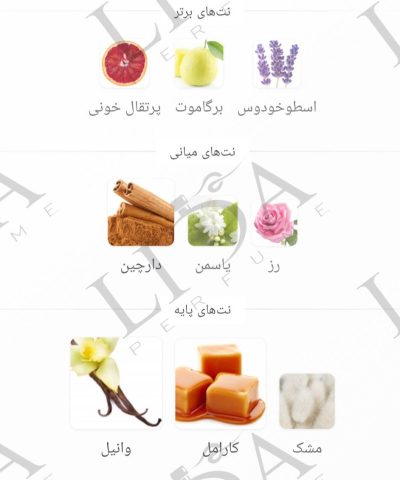 نت بویایی کازاموراتی لیرا