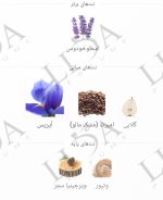 نت بویایی عطر گرمی دیور هوم اینتنس