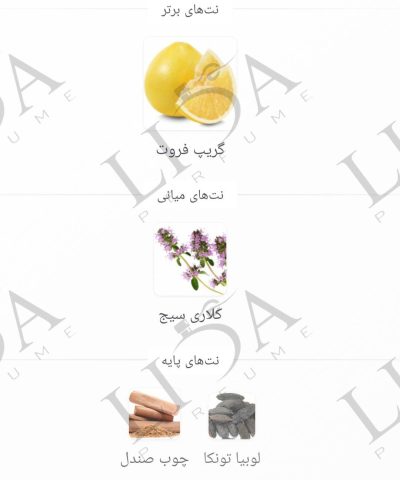 نت بویایی آزارو اسپرت