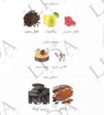 نت بویایی بدبوی