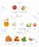 نت بویایی ادکلن اسکندل