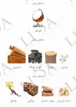 نت بویایی نارسیسو پودری