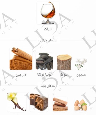 نت بویایی نارسیسو پودری