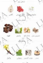 ادکلن مینی اپیوم بلک - تصویر 3