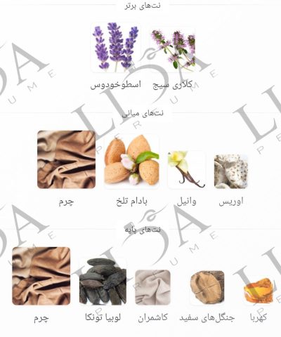 نت بویایی تام فورد فابیولس