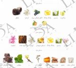 نت بویایی تام فورد بلک ارکید