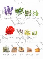 نت بویایی شنل پلاتینیوم