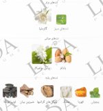 نت بویایی بولگاری جاسمین نویر
