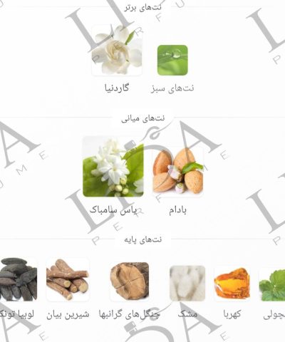 نت بویایی بولگاری جاسمین نویر