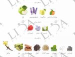 نت بویایی مارلی لیتون