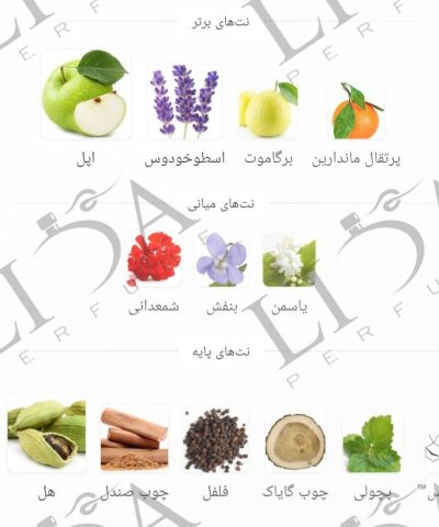 نت بویایی مارلی لیتون