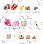 نت بویایی مارلی دلینا