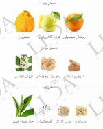 نت بویایی لویی ویتون ایمجینیشن