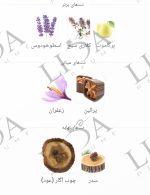 نت بویایی مارلی هالتان