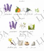 نت بویایی ایو سن لورن لیبره