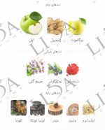 نت بویایی ایو سن لورن وای