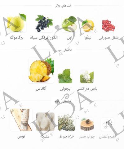 نت بویایی کرید اونتوس