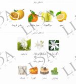 نت بویایی عطر گرمی شکیرا