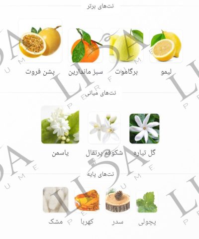 نت بویایی عطر گرمی شکیرا