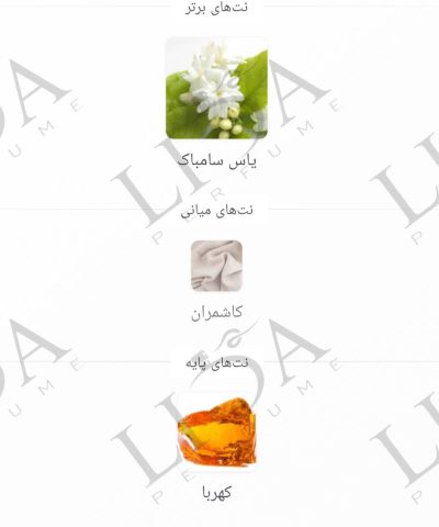 نت بویایی الین