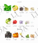 نت بویایی ورساچ اروس