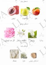 نت بویایی فلور نارکوتیک