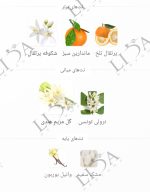 نت بویایی مای وی