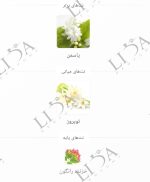 نت بویایی گوچی بلوم