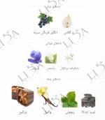 نت بویایی لانکوم لاوی است بل