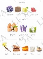 نت بویایی عطر پگاسوس