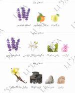 نت بویایی لیبره اینتنس