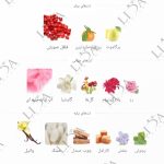 نت بویایی سک سی 212 زنانه
