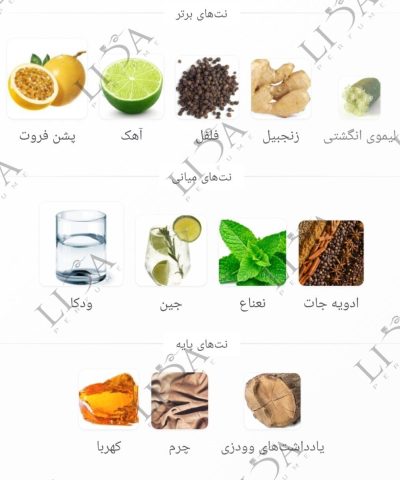 نت بویایی VIP 212 مردانه