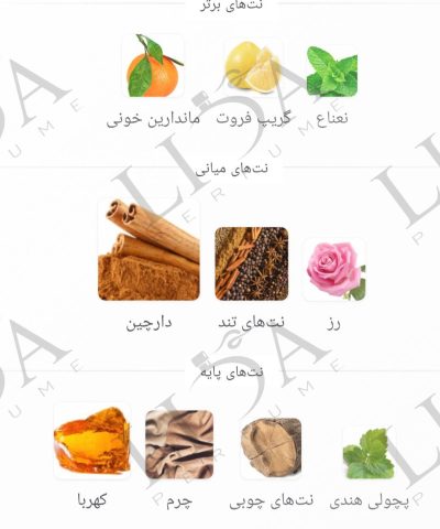 نت بویایی وان میلیون
